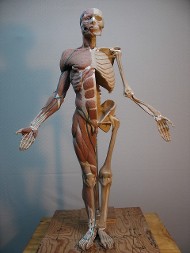 Athena Side View, Contemporary Artist in Wingdale, NY